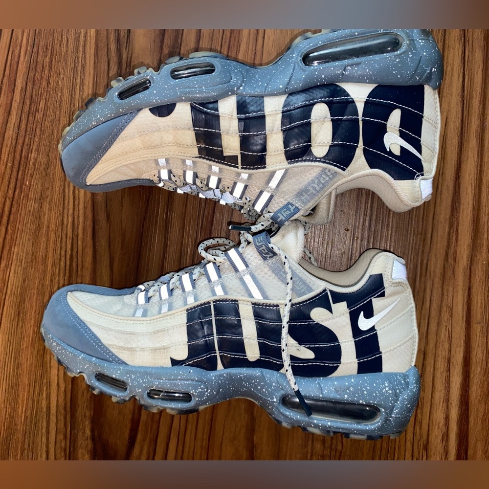Mt Fuji air max 95s